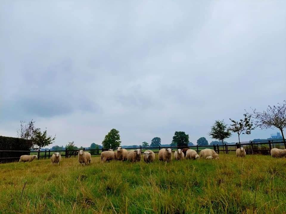 De Beredoezen - Sfeervolle Vakantiewoning In De Gezellige Kempen Retie Luaran gambar